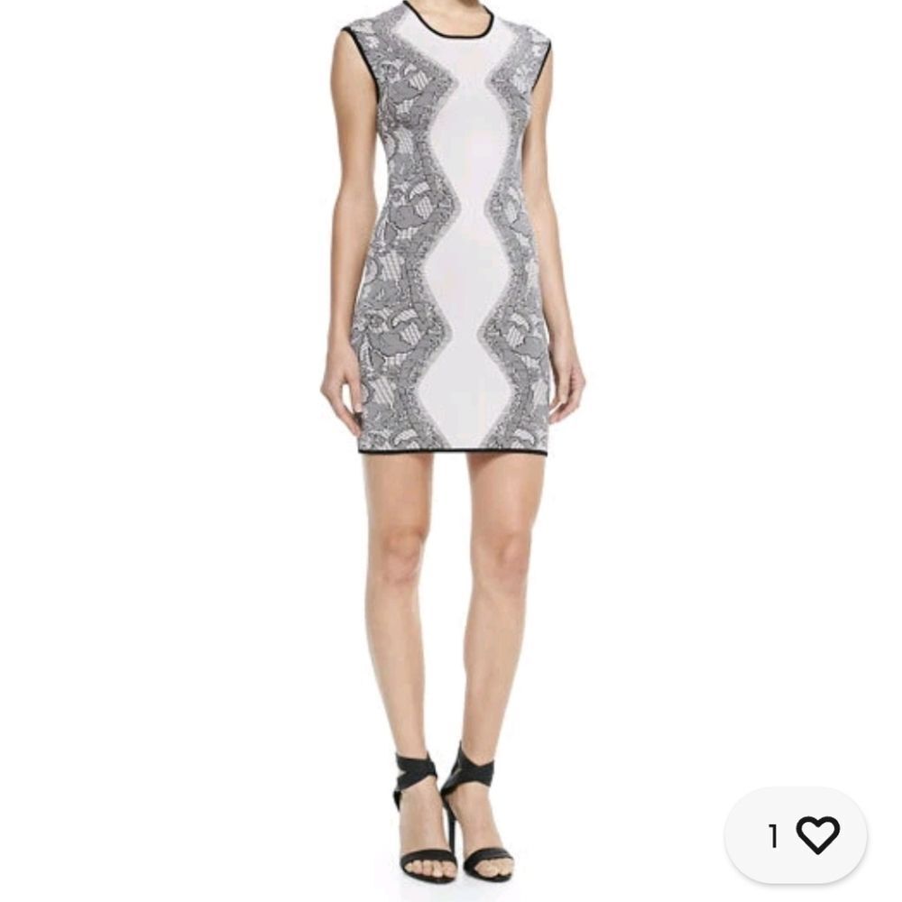 PARKER 'Alexander' Blush Floral Lace Print Dress size Medium